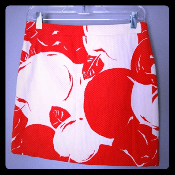 J. Crew Dresses & Skirts - J. Crew Big Apple skirt